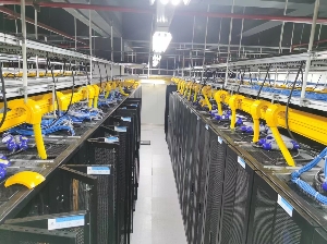 長沙專業(yè)上門搭建網(wǎng)絡 建設機房 舊機房升級改造